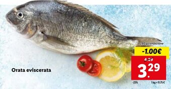 Lidl Orata eviscerata 280 g offerta