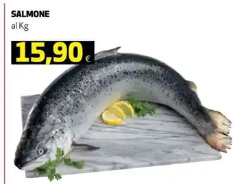 Coop Salmone al Kg offerta