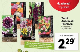 Lidl Bulbi Autunnali Premium offerta