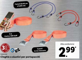 Lidl Parkside Cinghie o elastici per portapacchi offerta