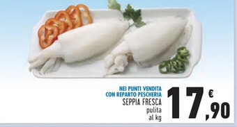 Conad Seppia Fresca pulita al kg offerta