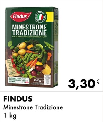 Iper Tosano Findus Minestrone Tradizione 1 kg offerta