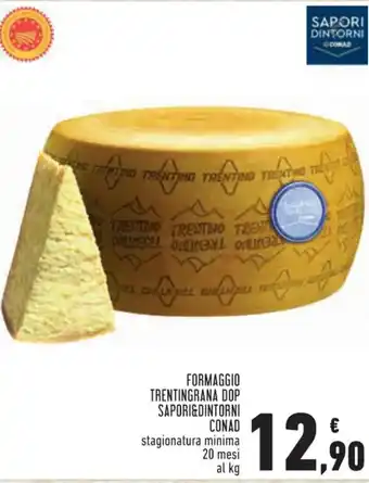 Conad Sapori&Dintorni Conad Formaggio Trentingrana DOP stagionatura minima 20 mesi al kg offerta