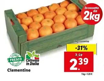 Lidl Clementine 2 kg offerta