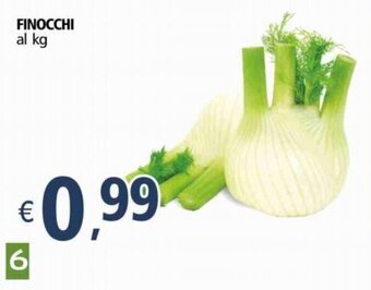 Finocchi