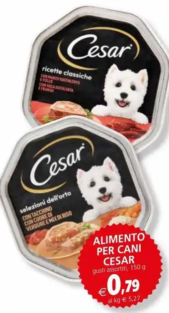 Il Gigante Alimento per cani cesar offerta