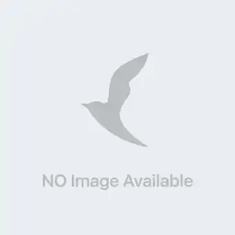 efarma Kenzo homme intense – eau de toilette 110 ml offerta