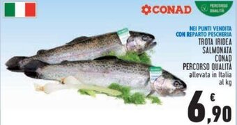 Conad Conad Percorso Qualità Trota Iridea Salmonata offerta
