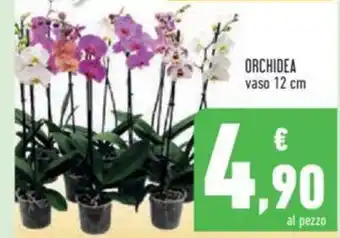 Conad Orchidea vaso 12 cm offerta