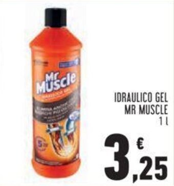Conad Mr Muscle Idraulico Gel 1 l offerta