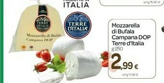 Carrefour Terre d'Italia Mozzarella Di Bufala Campana offerta