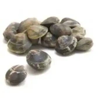 DEM Allevato - origine italia offerta