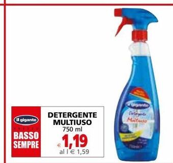 Il Gigante Detergente multiuso 750 ml offerta