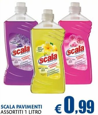 Casa & Co Scala Pavimenti Assortiti 1 litro offerta