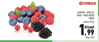 Conad Lampone - Mirtillo More- Ribes Rosso cestino 125 g
