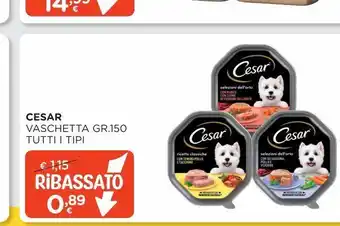 Arcaplanet Cesar- vaschetta gr.150 - tutti i tipi offerta