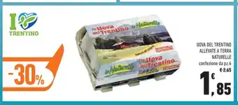 Conad Uova Del Trentino Allevate A Terra Naturelle confezione da pz. 6 offerta