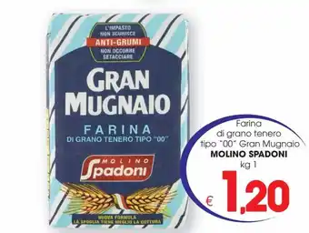 Molino Spadoni Farina di grano tenero tipo "00" Gran Mugnaio kg 1