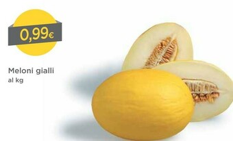 DPiù Melone offerta