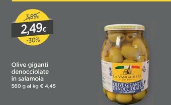 DPiù La vangadizza Olive offerta