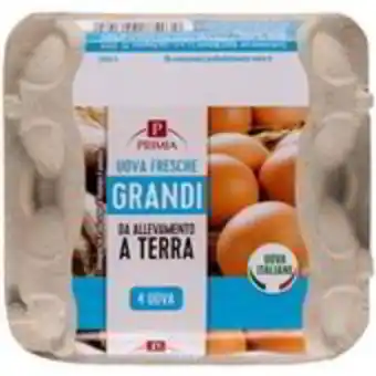 Basko Primia uova fresche grandi offerta