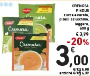 Spazio Conad Findus Cremosa 600 g offerta