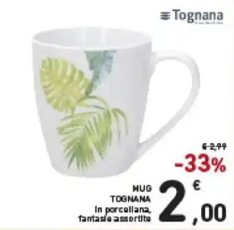 Spazio Conad Tognana Mug offerta