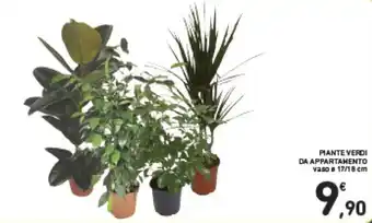 Spazio Conad Piante Verdi da Appartamento Ø 17/18 cm offerta