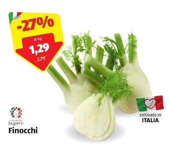 ALDI Finocchi offerta