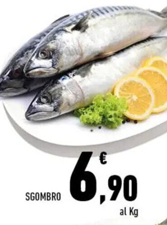 Conad Superstore Sgombro offerta