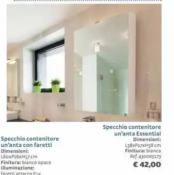 Specchio contenitore un'anta essential dimensioni: l38xp17xh58 cm