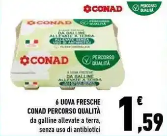 Conad Conad Percorso Qualità 6 Uova Fresche da galline allevate a terra, senza uso di antibiotici offerta