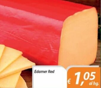 Edamer Red