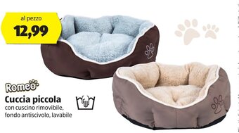ALDI Romeo Cuccia piccola offerta