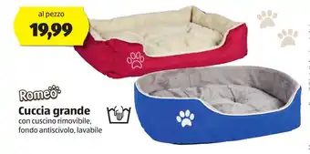 ALDI Romeo Cuccia grance offerta