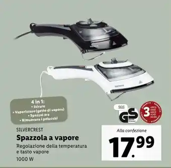 Lidl Spazzola a vapore offerta