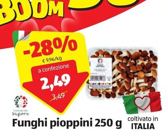 ALDI Funghi pioppini 250 g offerta