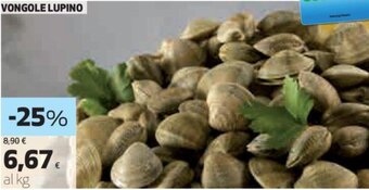 Coop Vongole Lupino offerta