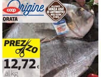 Coop Origine Coop Orata offerta