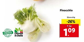 Lidl Finocchio offerta