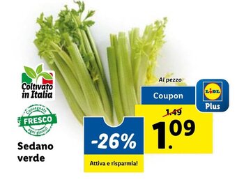 Lidl Sedano verde offerta
