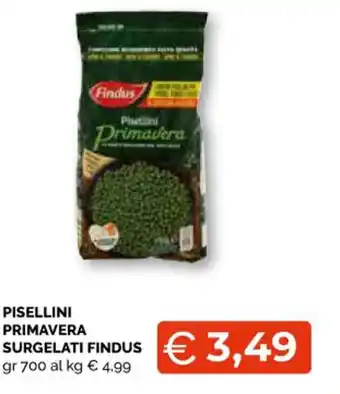 Mercatò Local Findus Pisselini Primavera Surgelati gr 700 offerta
