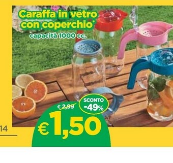 DPiù Caraffa In Vetro Con Coperchio 1000 Cc offerta