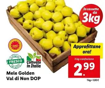 Lidl Mele Golden Val di Non DOP 3 kg offerta