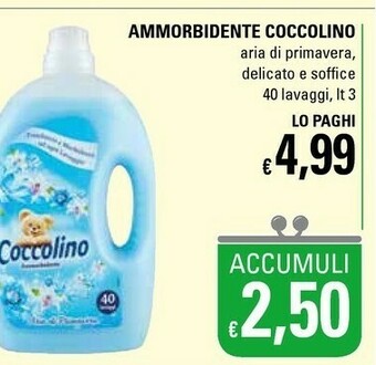 Basko Coccolino Ammorbidente offerta