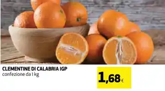 Coop Clementine di Calabria IGP 1 kg offerta