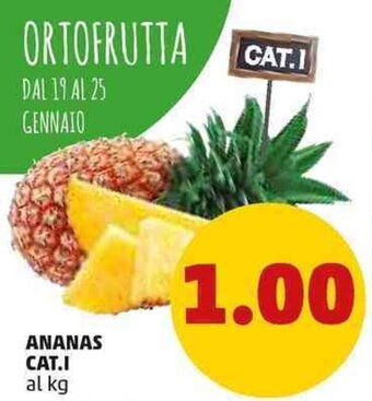 PENNY Ananas Cat.I offerta