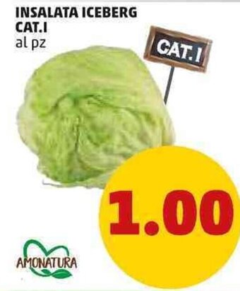 PENNY Insalata Iceberg Cat.I offerta