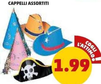 PENNY Cappelli Assortiti offerta