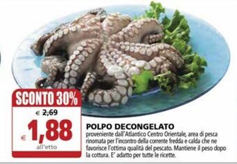 Polpo decongelato